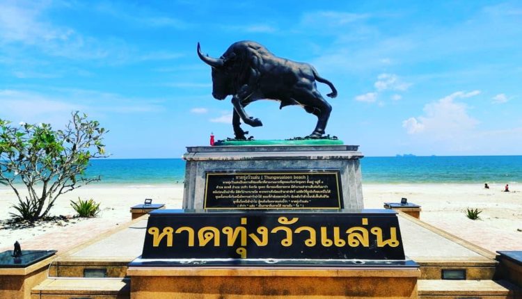 หาดทุ่งวัวแล่น