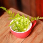 ร้านห้วยค้างคาว