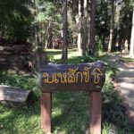 ต้นสักใหญ่ อุทยานแห่งชาติต้นสักใหญ่ จ.อุตรดิตถ์