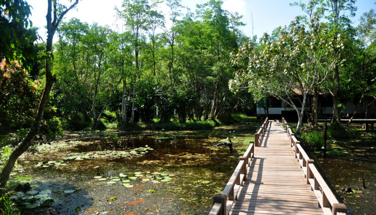 ศูนย์วิจัยและศึกษาธรรมชาติป่าพรุสิรินธร