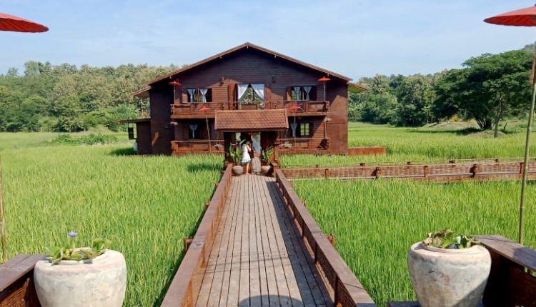 บ้านนาต้นจั่น