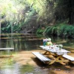 เดอะ ซีนเนอรี่ วินเทจ ฟาร์ม