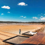 “เลเกลือคาเฟ่”