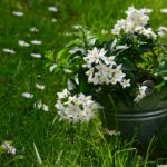 ไหว้พระชาวราศีพิจิก