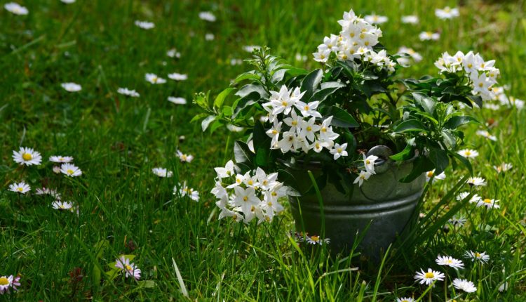 ไหว้พระชาวราศีพิจิก