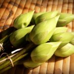 ไหว้พระชาวราศีสิงห์