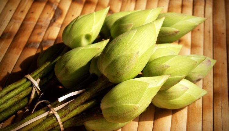 ไหว้พระชาวราศีสิงห์