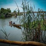 บางชาม พัทลุง