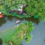 มองช้างคาเฟ่