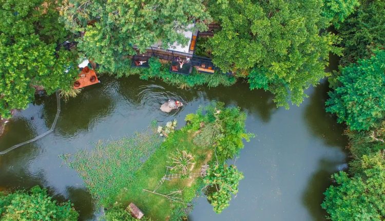 มองช้างคาเฟ่