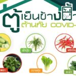 กรมส่งเสริมการเกษต