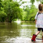 พายุโซนร้อน “โนอึล”