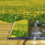 หนังสือสวดมนต์