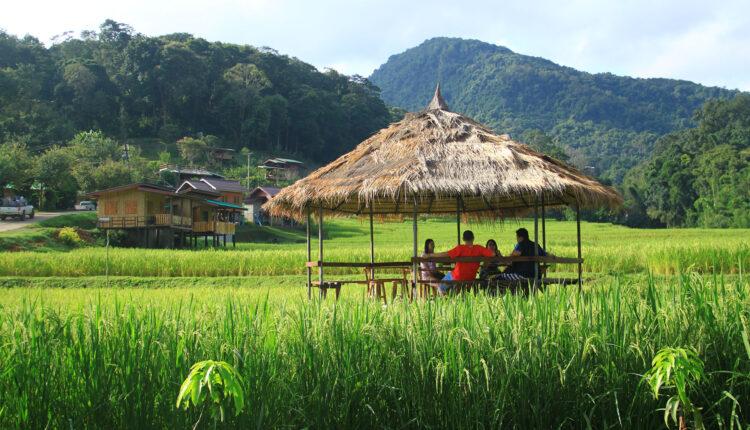 นาข้าวขั้นบันได