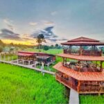 กลางนาคาเฟ่