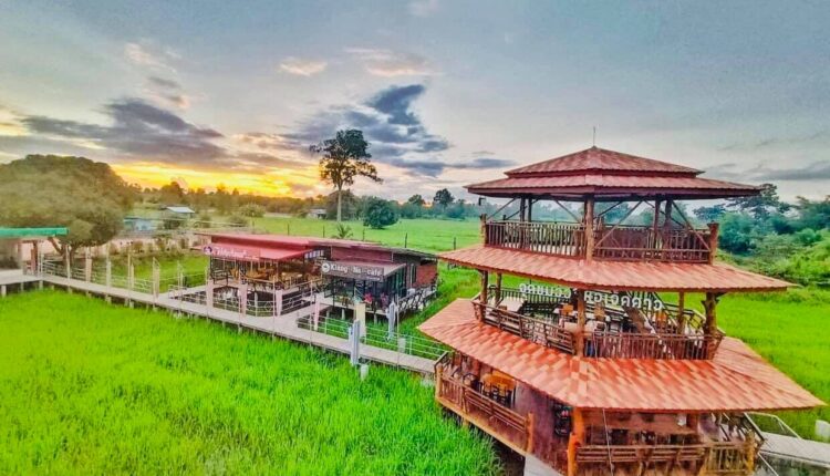 กลางนาคาเฟ่