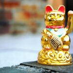 แมวกวัก