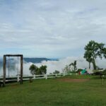 ผาชมดาว