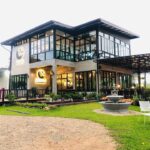 ไร่อิงจันทร์