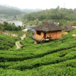 บ้านรักไทย