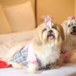 โรงแรมทรีบีบูติคเบดแอนด์เบรกฟาส