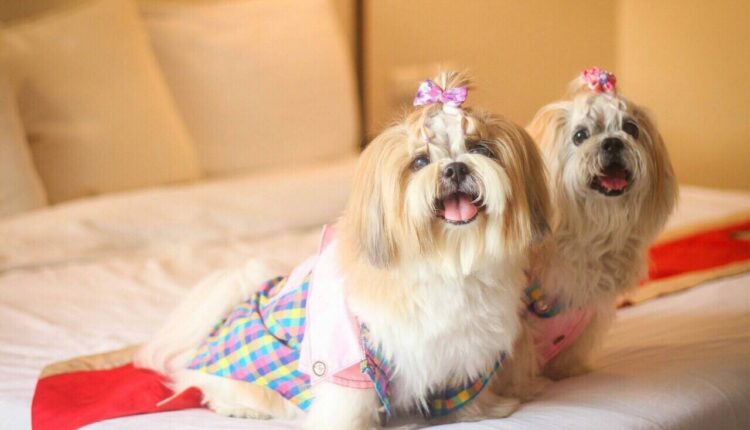 โรงแรมทรีบีบูติคเบดแอนด์เบรกฟาส