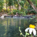 บ่อน้ำแร่ธรรมชาติบ้านไทรงาม