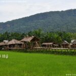 บ้านนาตาแจ้ คาเฟ่ลั่นทุ่ง