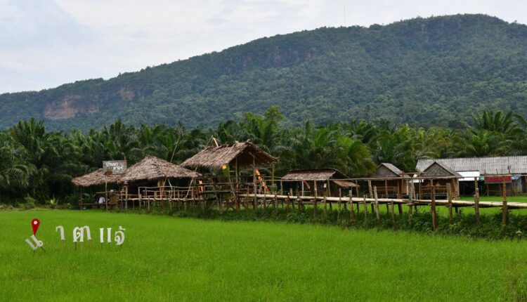 บ้านนาตาแจ้ คาเฟ่ลั่นทุ่ง