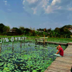 ฟาร์มแกะทหารช่าง