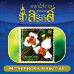 ดอกไม้งาม