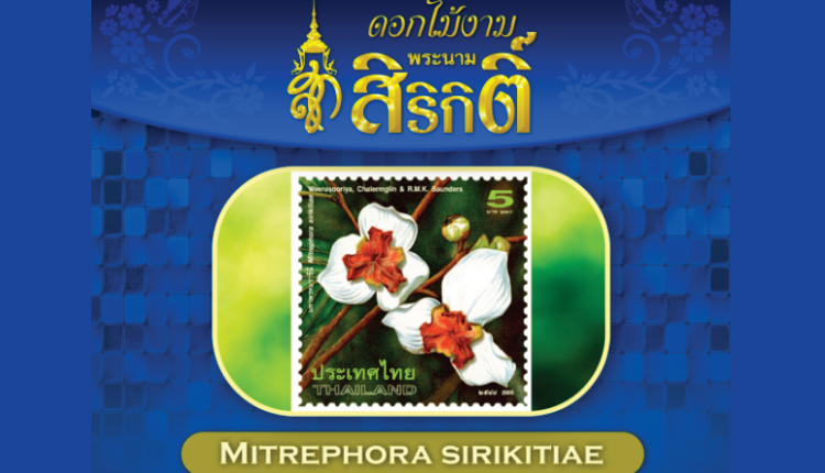 ดอกไม้งาม