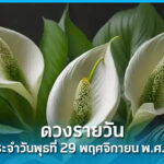 ดวงรายวัน